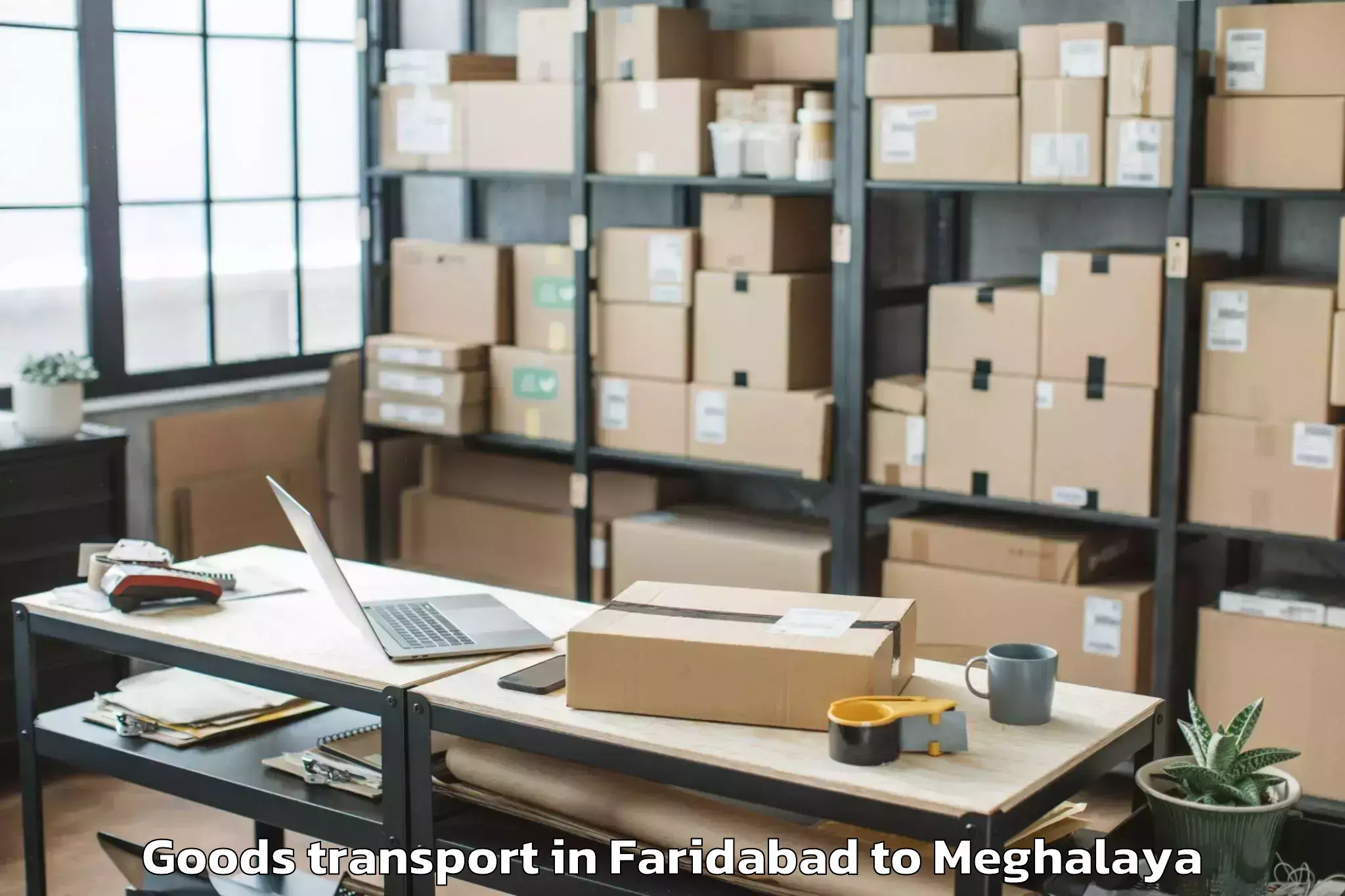 Professional Faridabad to Nit Meghalaya Goods Transport